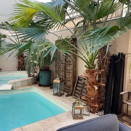 Cocoon In ***** Apartamento Cannes